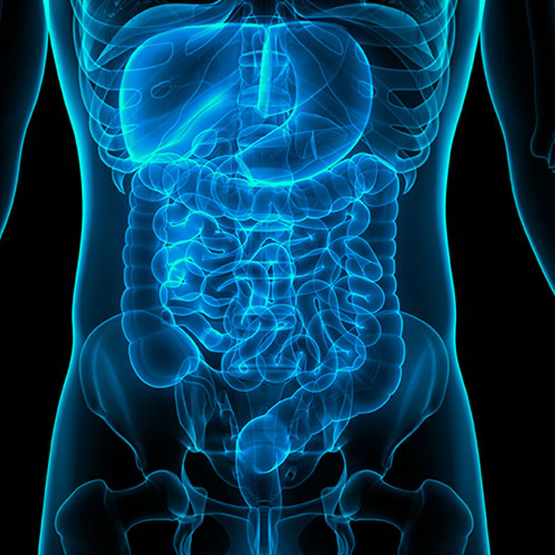 clinica-gastroenterologia-gastroprocto-centro-medico