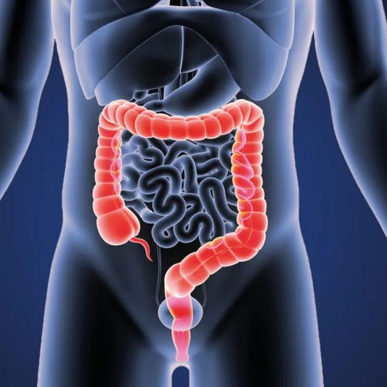 clinica-proctologista-gastroprocto-centro-medico