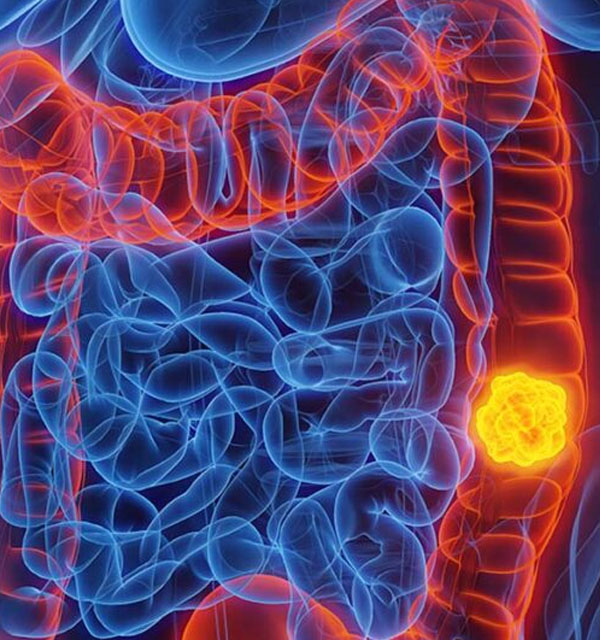 medico-procologista-centro-medico-belem-consulta1