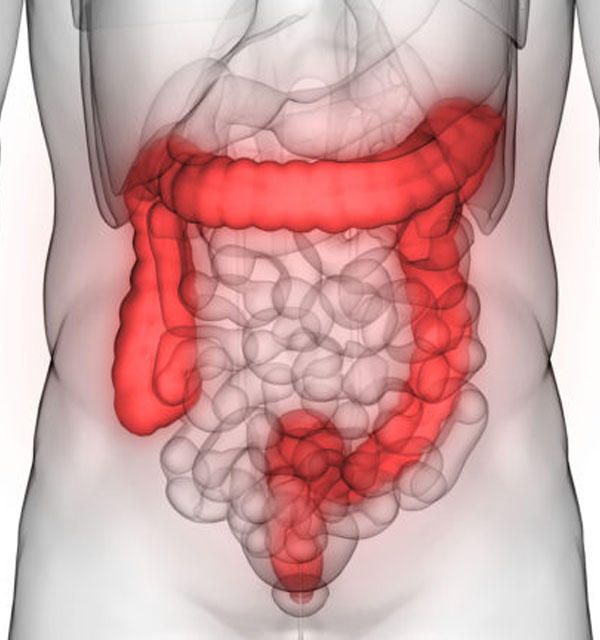 medico-procologista-centro-medico-belem-consulta4