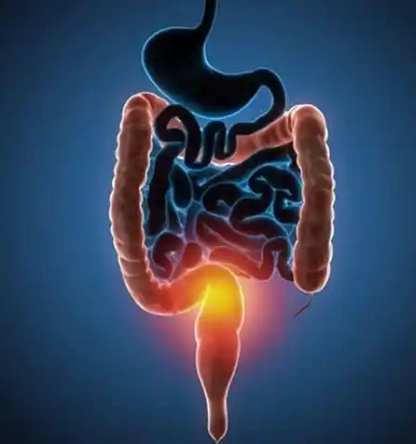 medico-procologista-centro-medico-belem-consulta5